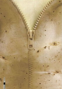 10組畫面誘人的美食創(chuàng)意海報