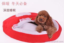 優質寵物窩墊與用品廠家直銷，批發價格盡享舒適與實惠